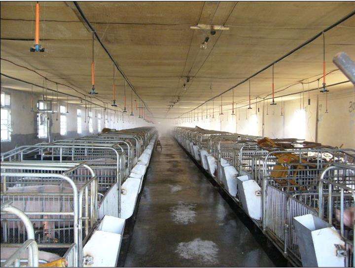 養殖場惡臭氣體處理-生物濾床除臭